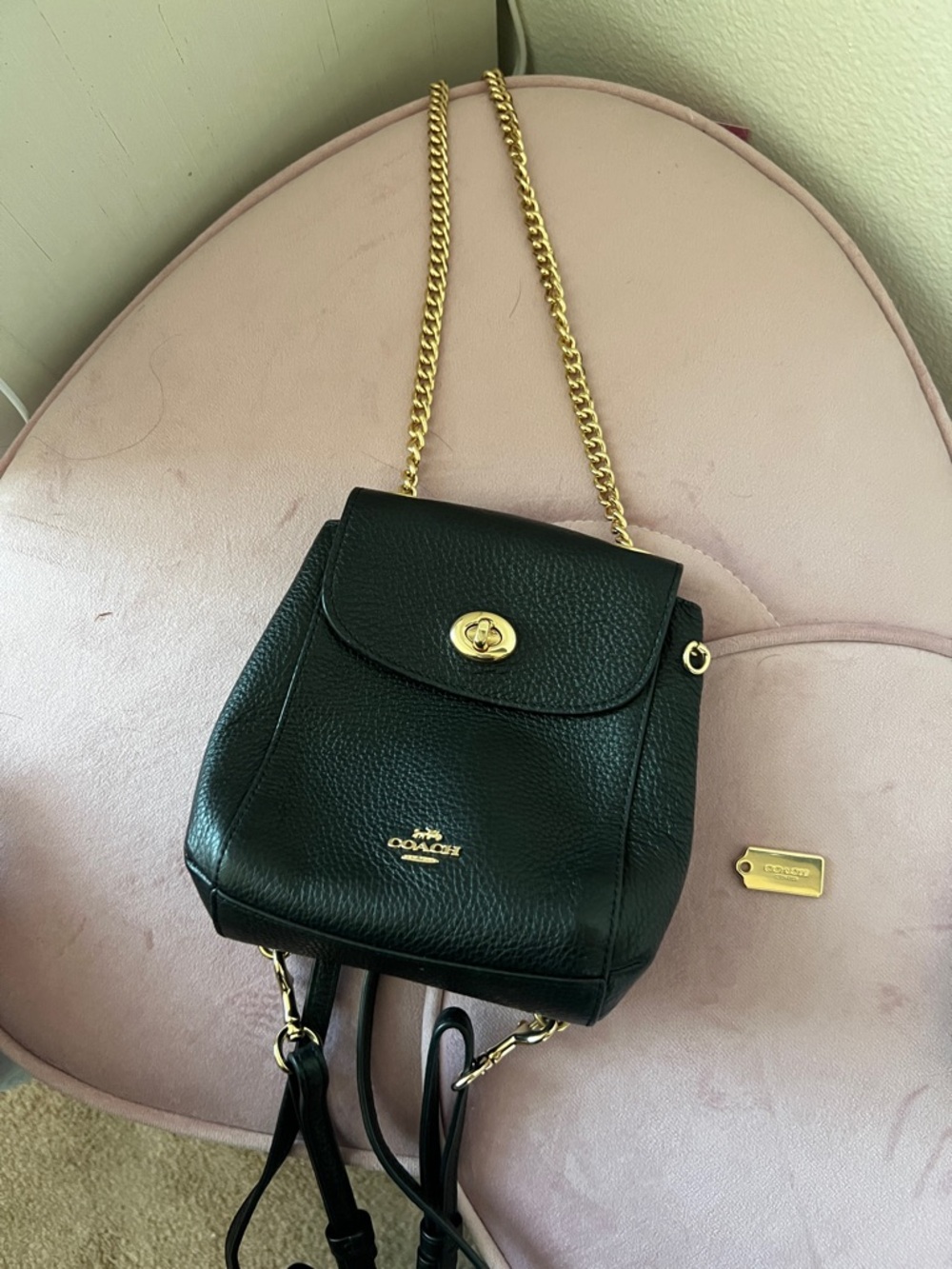 Coach Black Pebbled Leather Mini Backpack with Gold Hardware - Picture 4 of 6